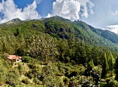 01_629134ac09469527421354