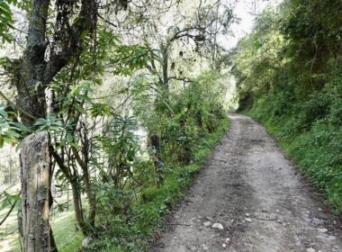 01_66d8aee7c1604016679883