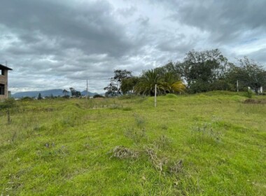 03_ll2400283_img-2_large