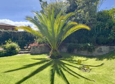 03_rs2600002_img-25_large