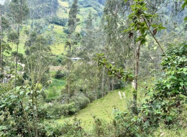 05_66d8aefcd692e770680843