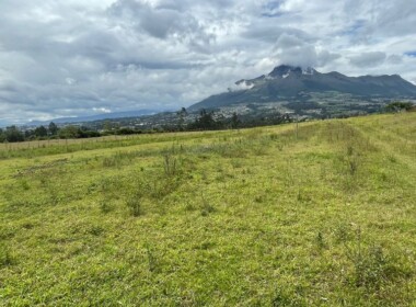 05_ll2400283_img-5_large