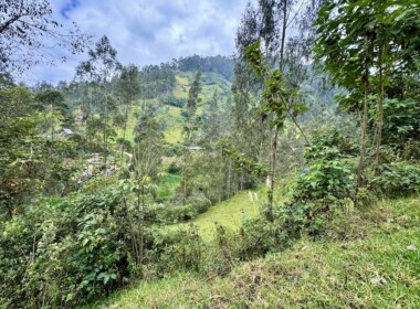 06_66d8aefd6b610597765963