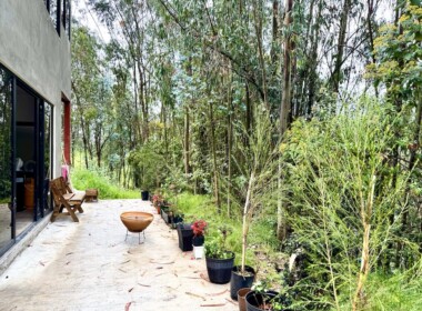 15_68c331c4787b5405336717