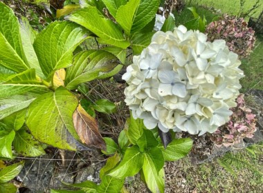 17_62912340b7460443961076