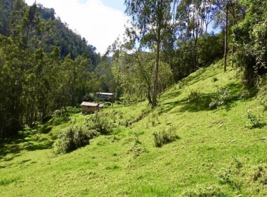 23_66d8aeff859b3591243195