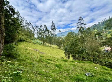 24_66d8aeffdeed3737965653