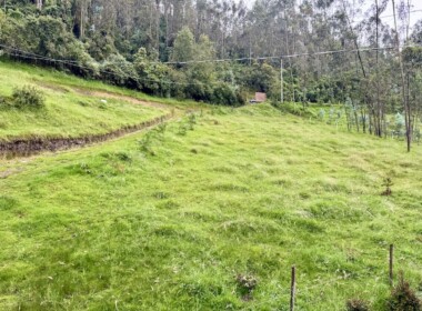 25_68c331c34d5b5720543860