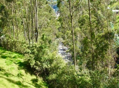 27_66d8af0d31a5c188173470