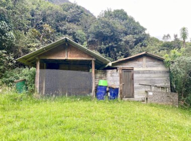 30_62912356f0ab2128017254